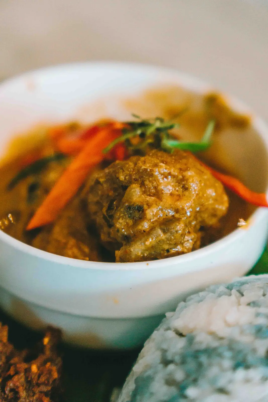 Temporary reference photograph of Malaysian curry and rice